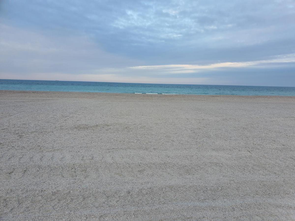 Alegria Summerland Mamaia Luaran gambar